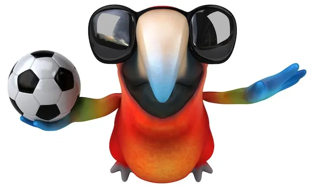 AYX运动品牌形象